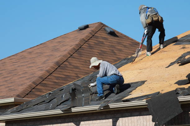 Best Metal Roofing Installation  in Pevely, MO